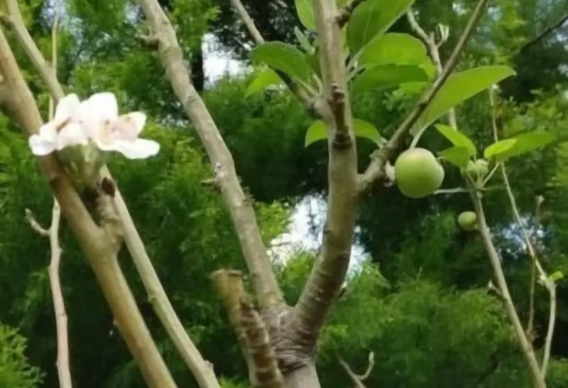 Hotelli Nexstay Ministers Mansion