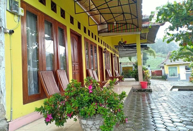 Отель Oyo 3020 Penginapan Citra Rasa