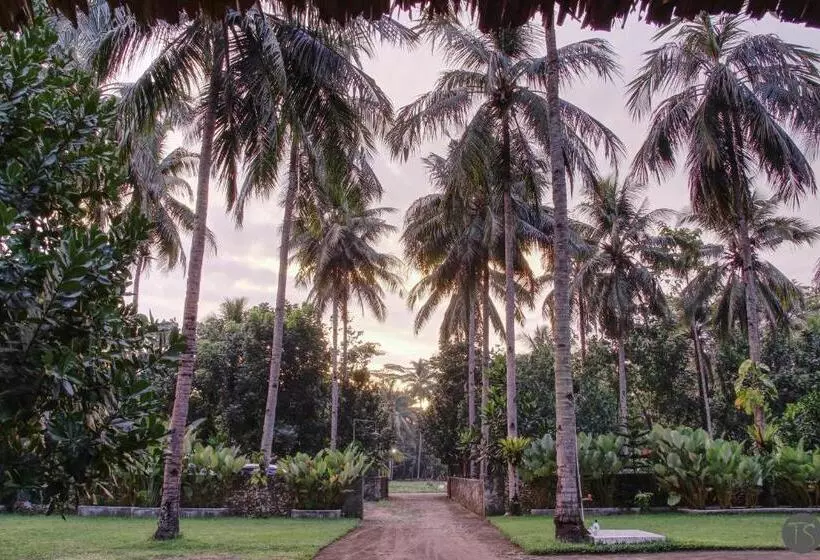 Pension Sadati Home Stay