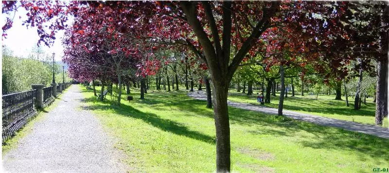 Отель Balneario De Alceda