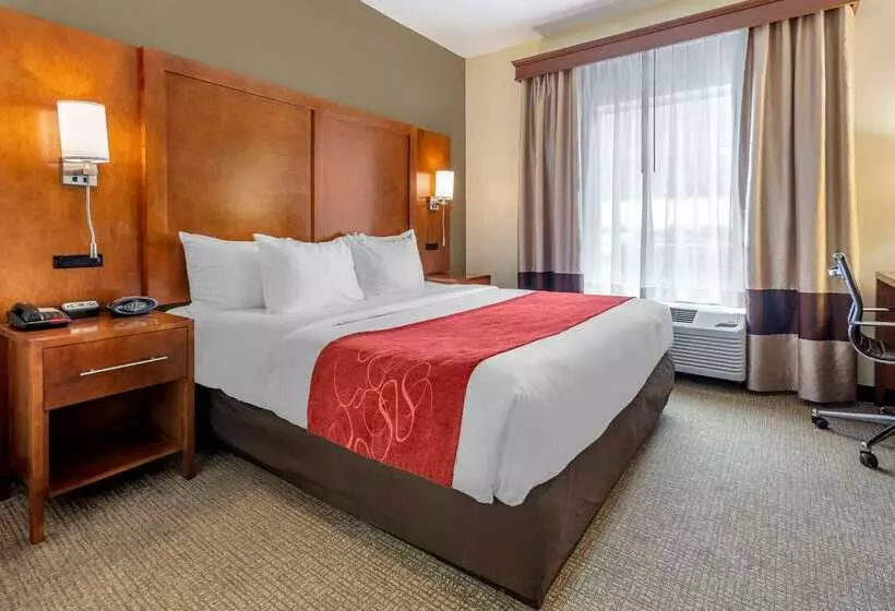 هتل Comfort Suites Newark  Harrison