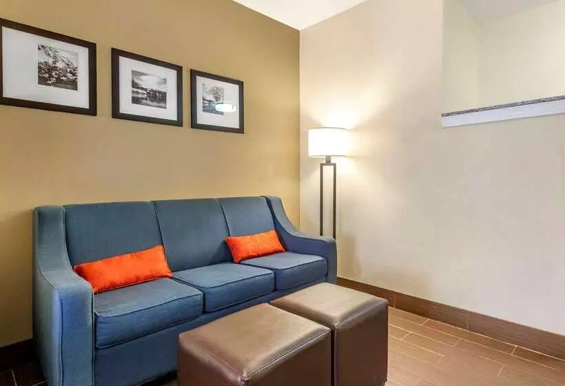 هتل Comfort Suites Newark  Harrison