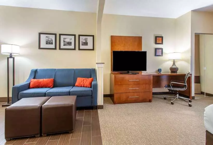 هتل Comfort Suites Newark  Harrison