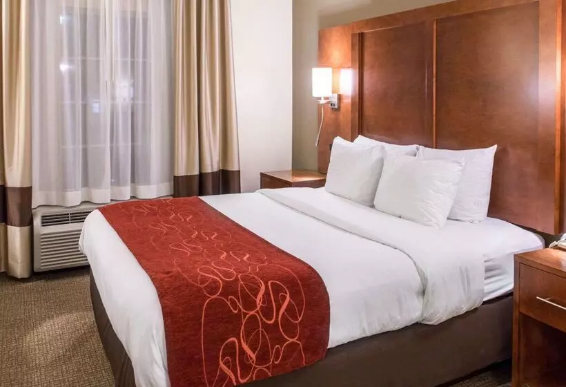 هتل Comfort Suites Newark  Harrison