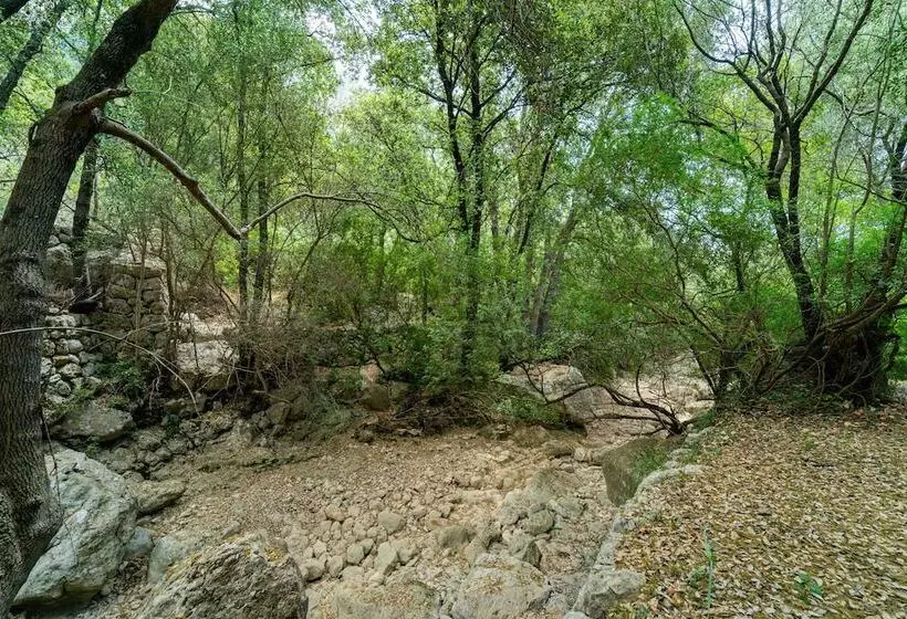 교외 호텔 Rural S Olivaret & Spa