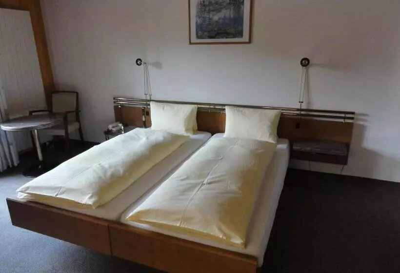 Hotel Steinbock Grindelwald