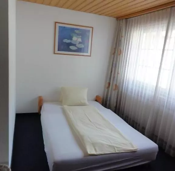 Hotel Steinbock Grindelwald