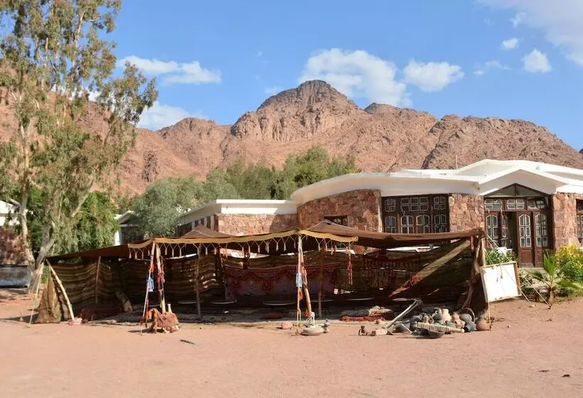 Morgenland Hotel St. Catherine