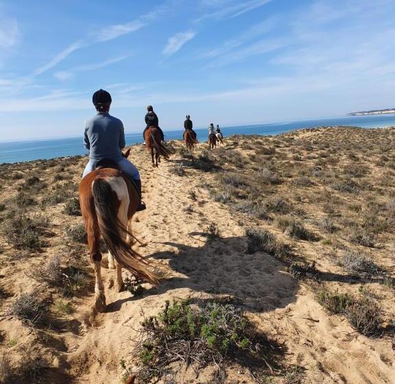 Quinta Pedra Dos Bicos