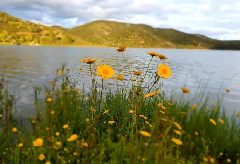 Quinta Pedra Dos Bicos