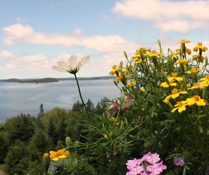 ベッドアンドブレックファースト Bluff House Inn