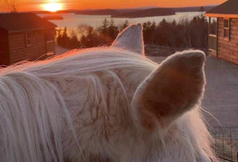 ベッドアンドブレックファースト Bluff House Inn