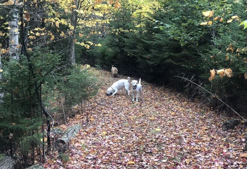 ベッドアンドブレックファースト Bluff House Inn