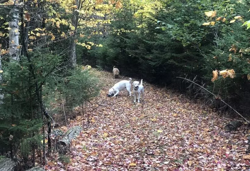 Aamiaismajoitus (B&B) Bluff House Inn
