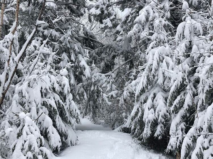 ベッドアンドブレックファースト Bluff House Inn