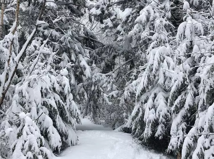 Aamiaismajoitus (B&B) Bluff House Inn