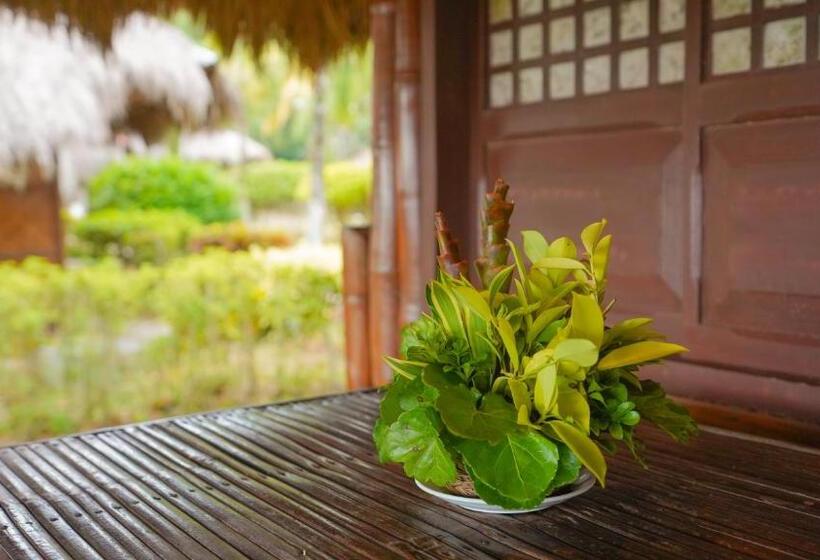 هتل Hijo Resorts Davao