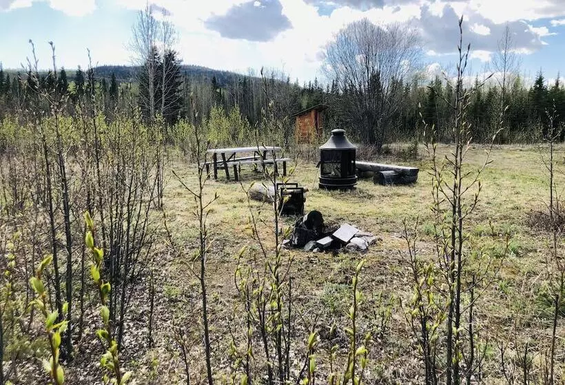 Hotelli Wrangell Mountain Lodge  Private Bathroom With Shower