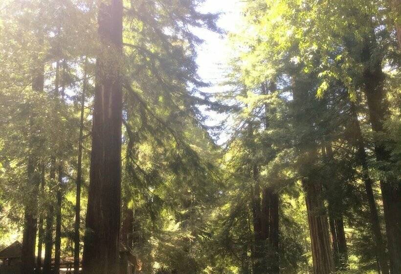 Redwoods River Resort