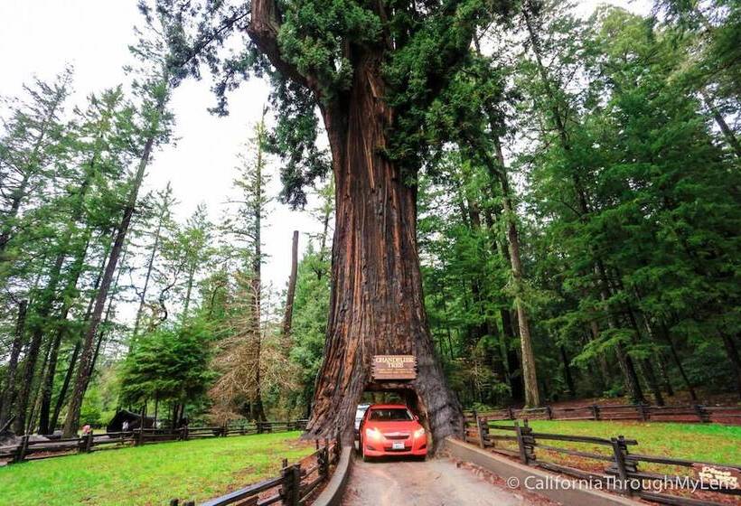 Redwoods River Resort