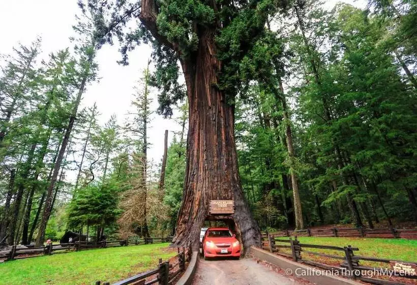 Redwoods River Resort