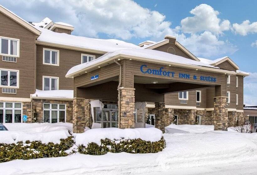 فندق Comfort Inn And Suites St Jerome