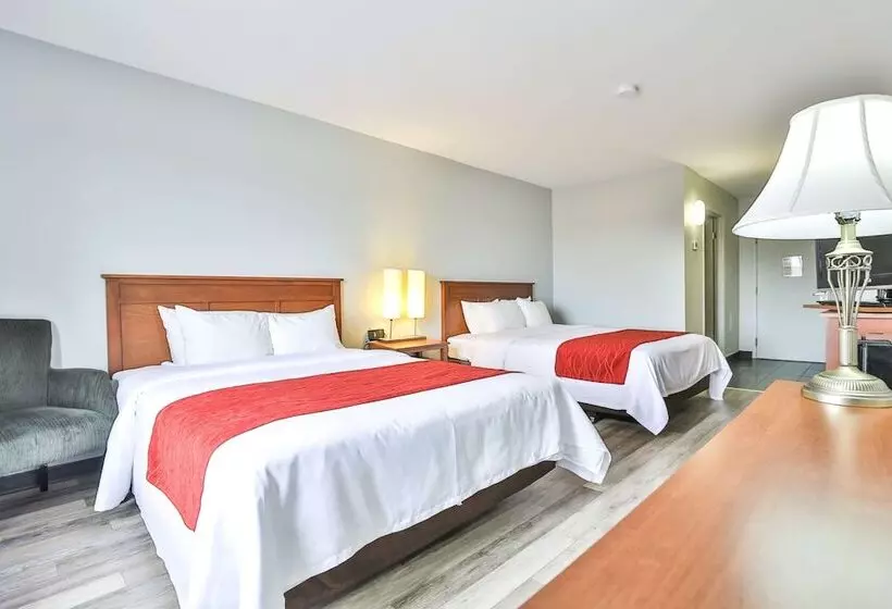 فندق Comfort Inn And Suites St Jerome
