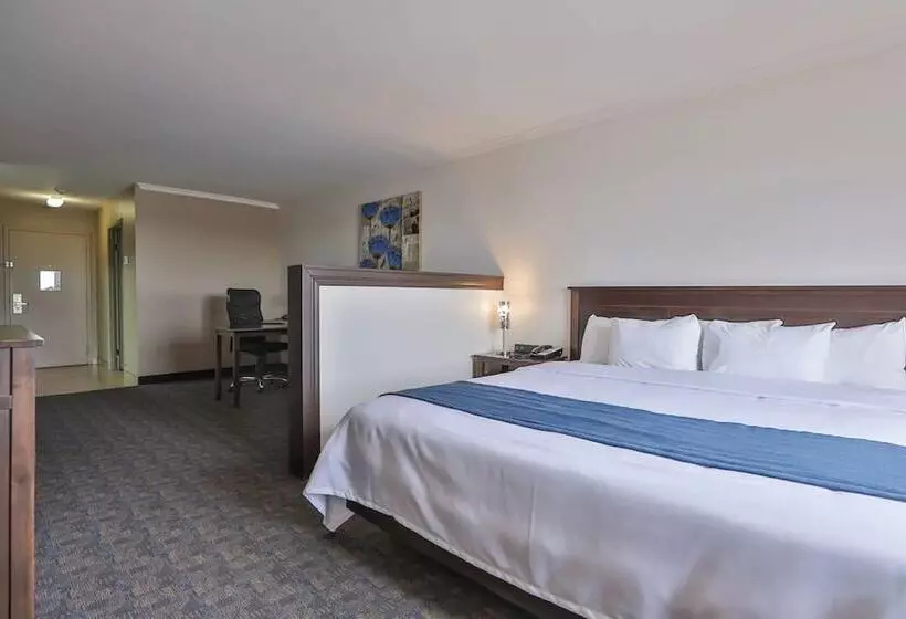 فندق Comfort Inn And Suites St Jerome