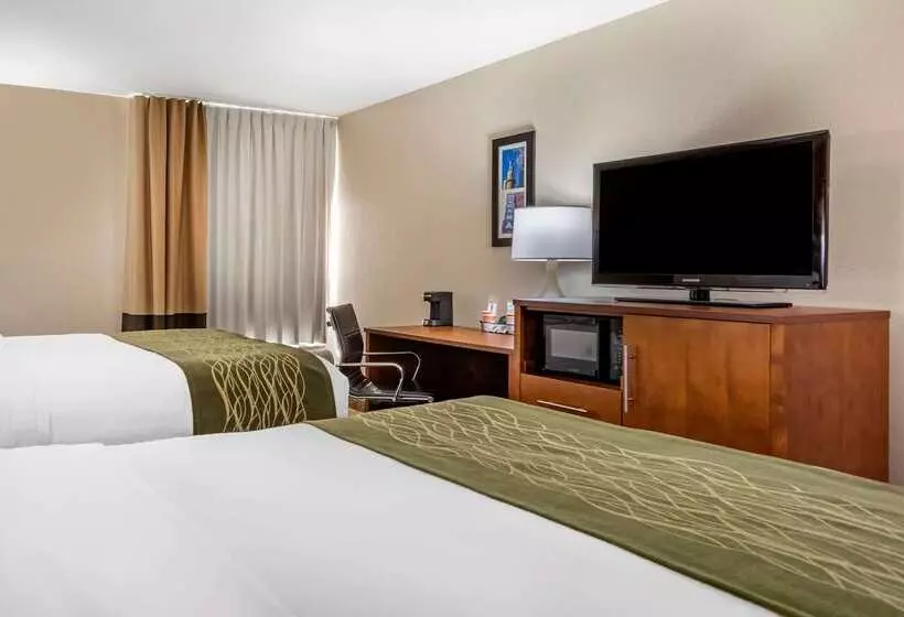 בית מלון כפרי Comfort Inn Birmingham  Irondale