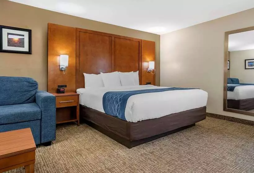 בית מלון כפרי Comfort Inn Birmingham  Irondale