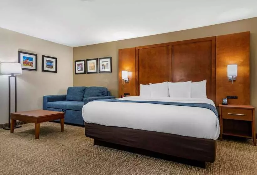 בית מלון כפרי Comfort Inn Birmingham  Irondale