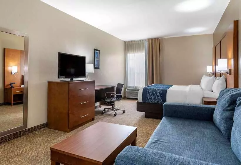 בית מלון כפרי Comfort Inn Birmingham  Irondale