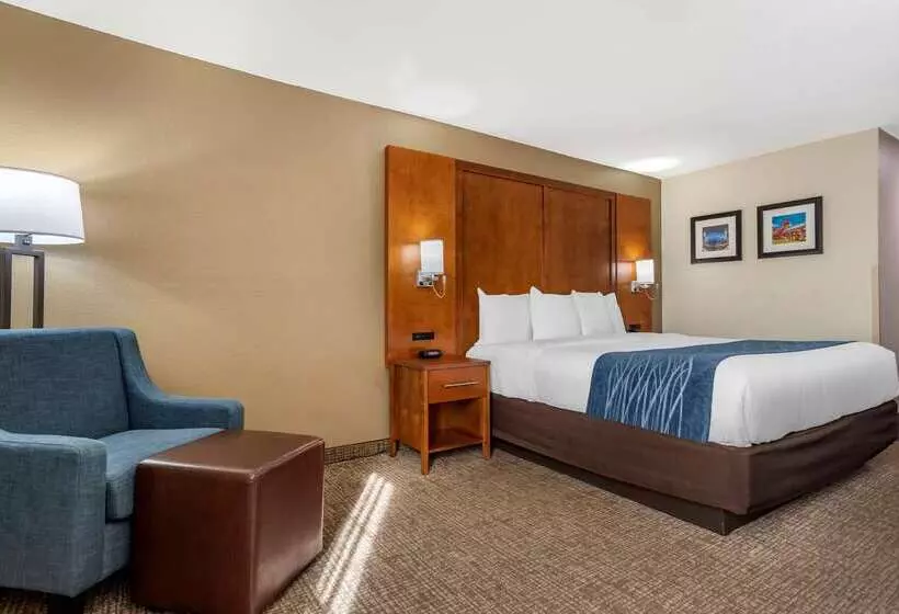 בית מלון כפרי Comfort Inn Birmingham  Irondale