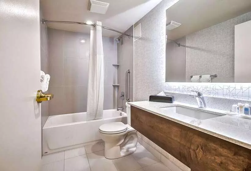 בית מלון כפרי Comfort Inn & Suites South