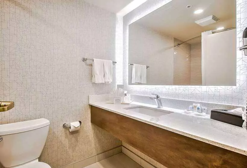 בית מלון כפרי Comfort Inn & Suites South