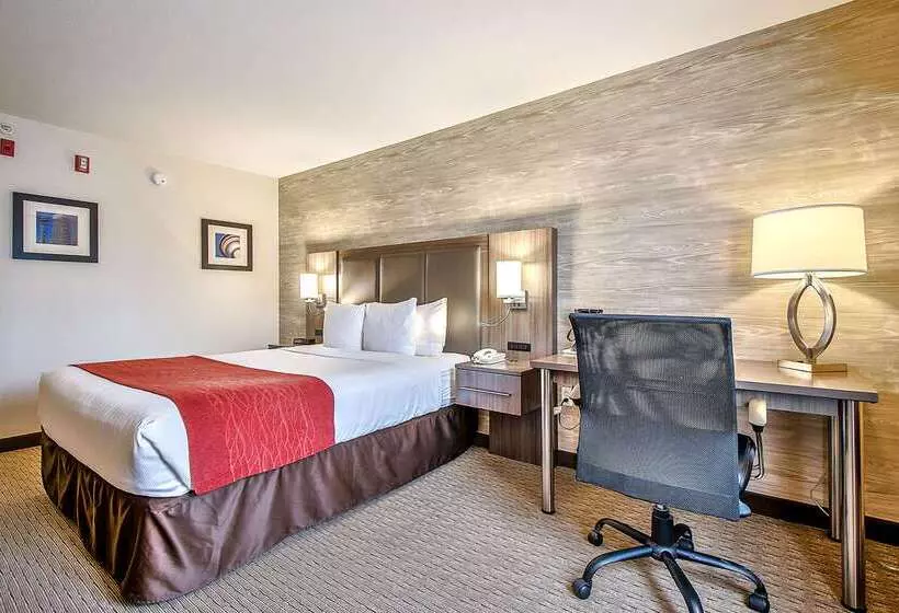 בית מלון כפרי Comfort Inn & Suites South