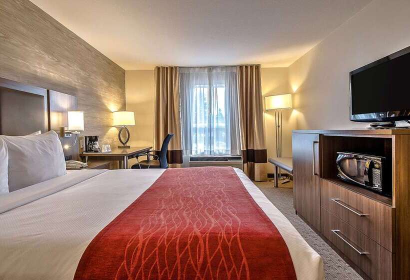 فندق Comfort Inn & Suites South