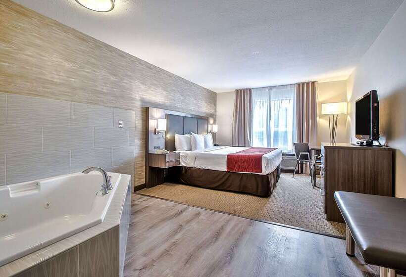 فندق Comfort Inn & Suites South