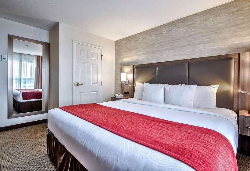 فندق Comfort Inn & Suites South