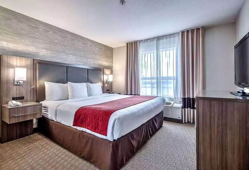 בית מלון כפרי Comfort Inn & Suites South