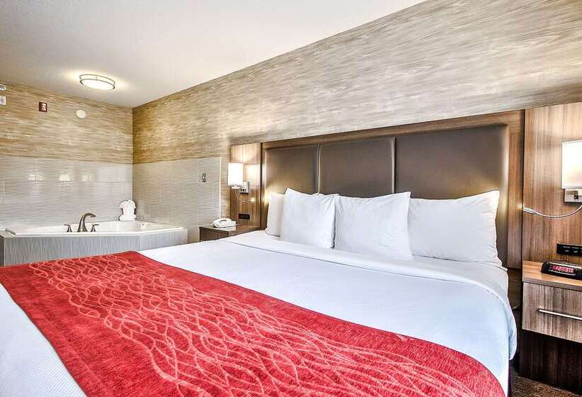 فندق Comfort Inn & Suites South