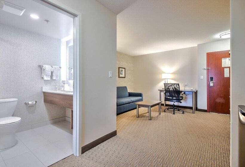 فندق Comfort Inn & Suites South