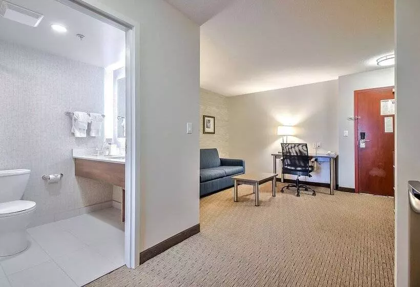 בית מלון כפרי Comfort Inn & Suites South