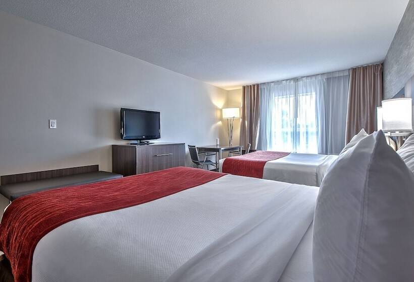 فندق Comfort Inn & Suites South