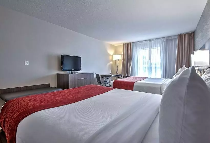 בית מלון כפרי Comfort Inn & Suites South