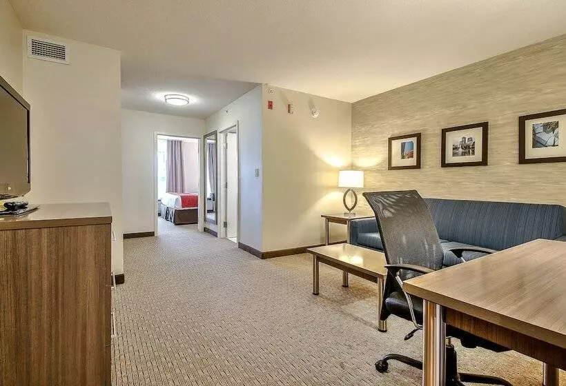 בית מלון כפרי Comfort Inn & Suites South