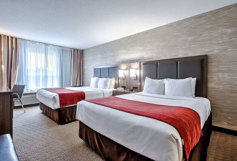 فندق Comfort Inn & Suites South