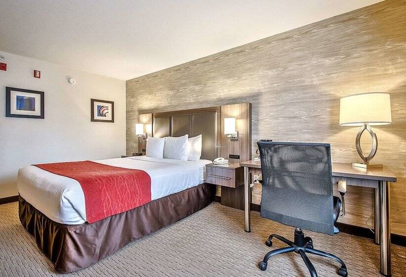 فندق Comfort Inn & Suites South