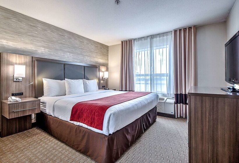 فندق Comfort Inn & Suites South