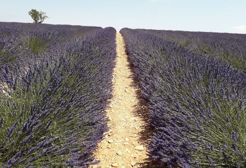 ホテル Le Mas Du Colombier